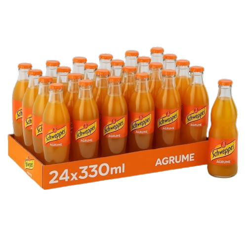 Schweppes 24x33 cl